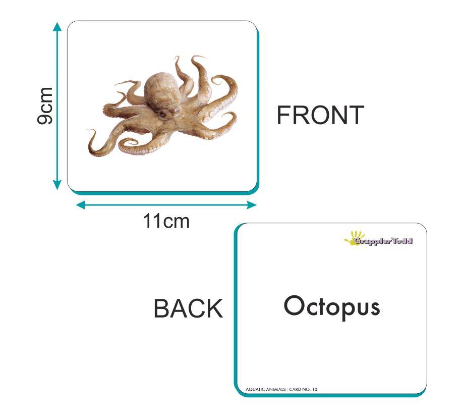 Aquatic Animals Flash Cards - Totdot