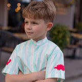 Classique- Mint Green Striped Shirt with Mandarin Collar for Boys - Totdot