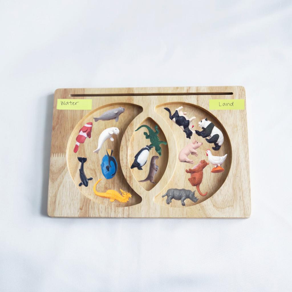 Compare and Contrast Venn Diagram Tray / Sensory Plate / Montessori tray - Totdot