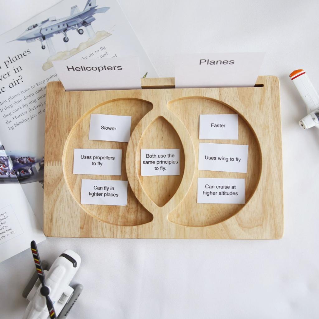 Compare and Contrast Venn Diagram Tray / Sensory Plate / Montessori tray - Totdot