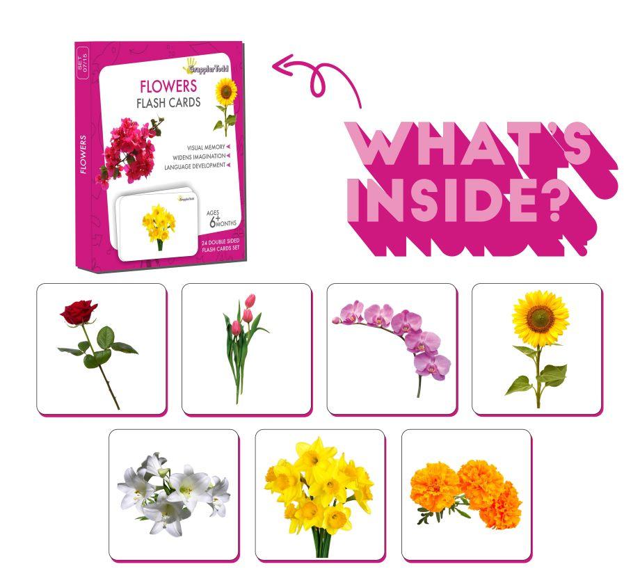 Flowers Flash Cards - Totdot