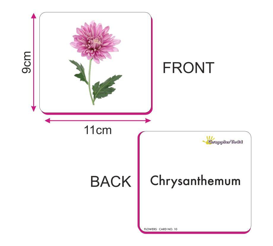 Flowers Flash Cards - Totdot