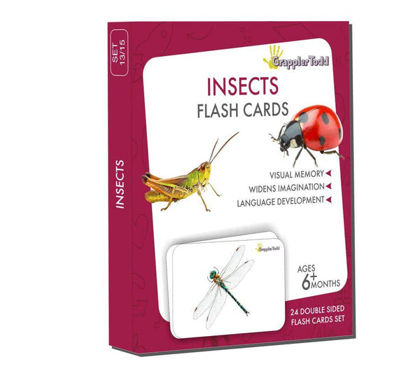 Insects Flash Cards - Totdot