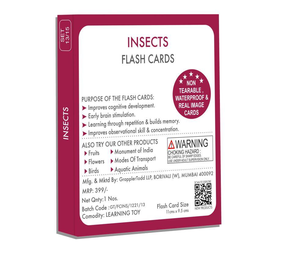 Insects Flash Cards - Totdot