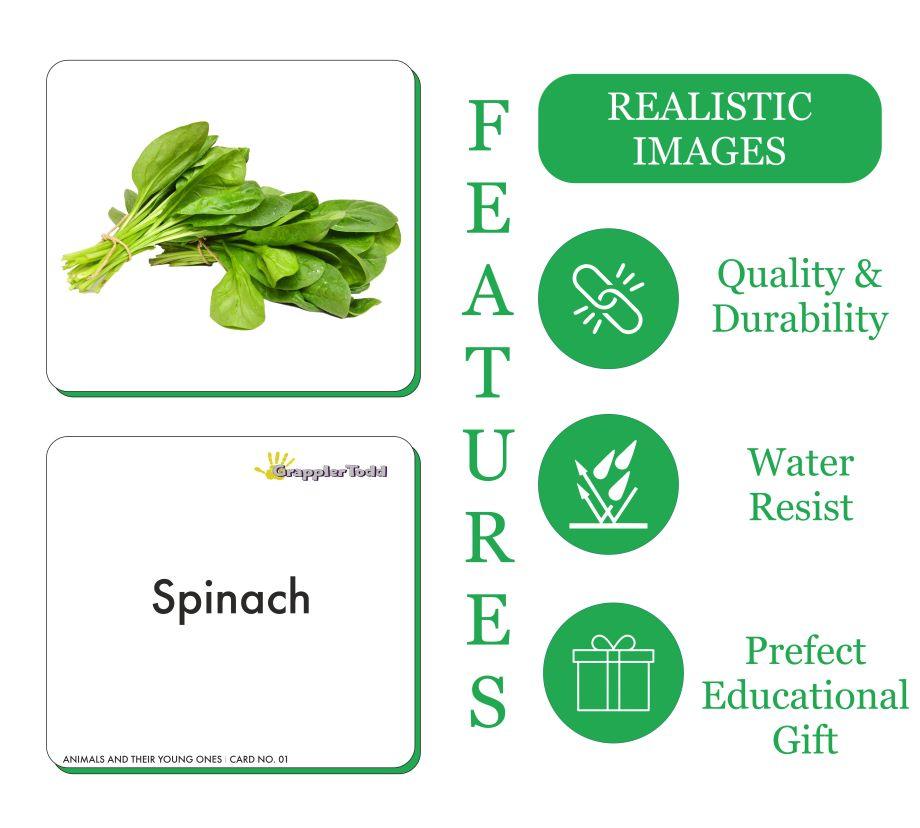 Leafy Vegetables Flash Cards - Totdot