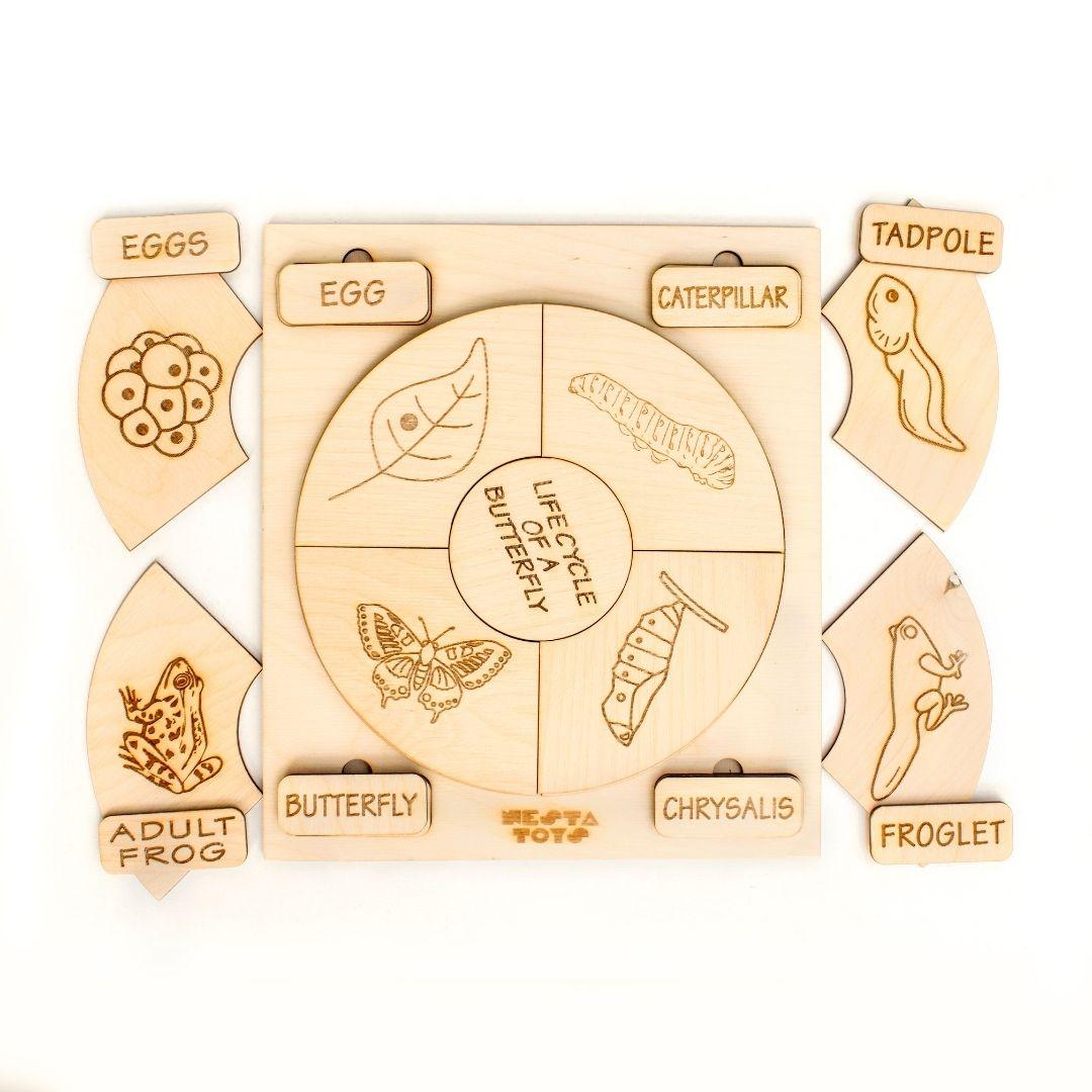 Montessori Life Cycle Puzzle - Totdot