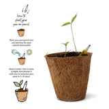 Plantabie Pens & Pencil Gift Box- Mega Grow Kit - Totdot