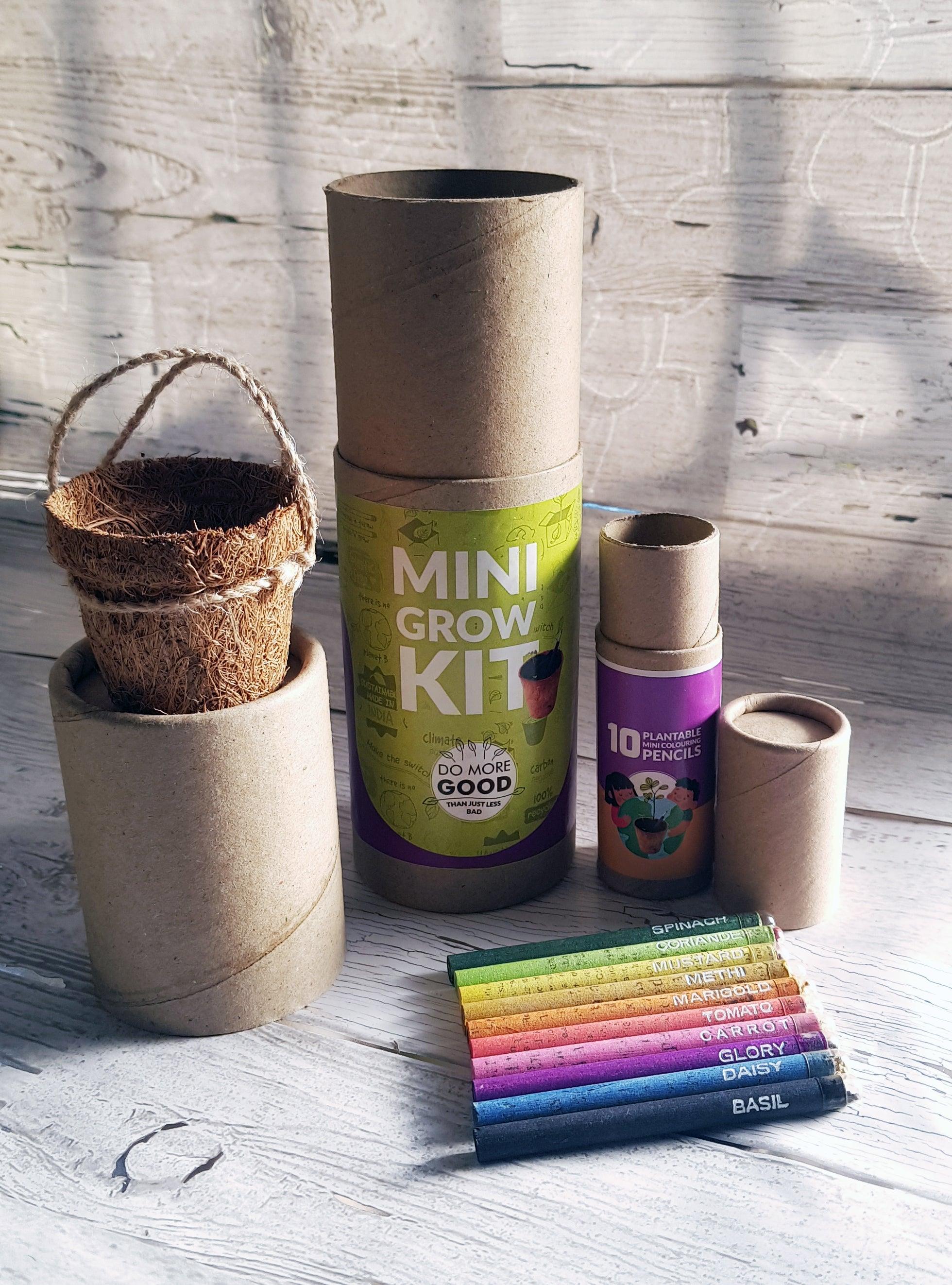 Plantable Pens & Pencil Gift Box- Mini Grow Kit (Cylinder Box) - Totdot