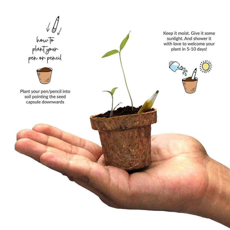 Plantable Pens & Pencil Gift Box- Mini Grow Kit (Cylinder Box) - Totdot