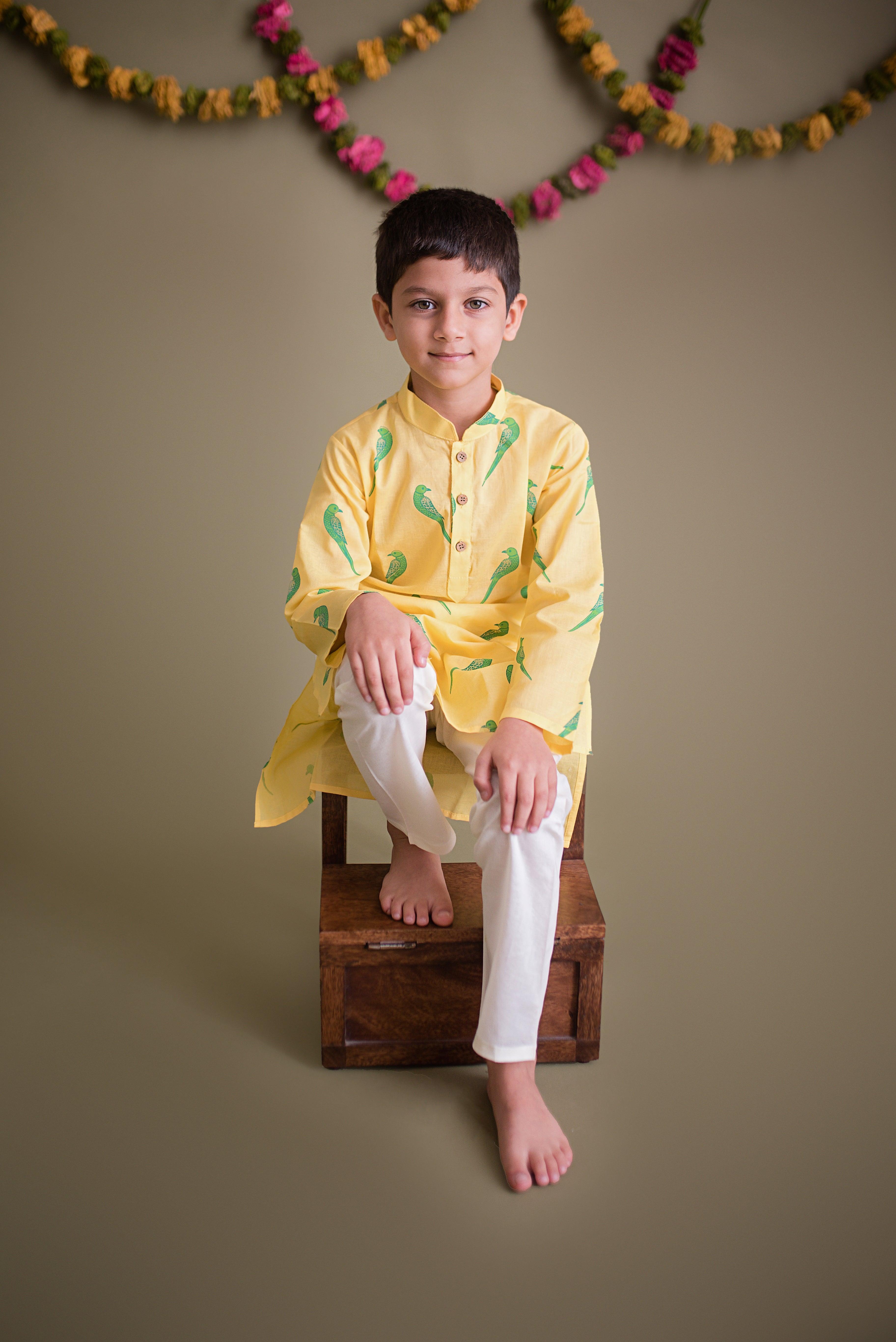 Tiya Boys Kurta- A Parrot - Totdot