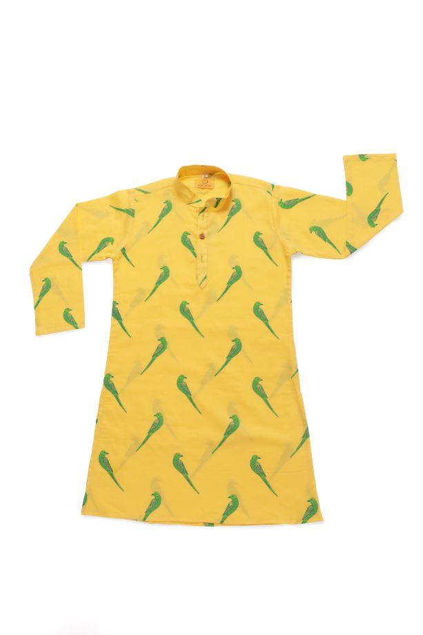 Tiya Boys Kurta- A Parrot - Totdot