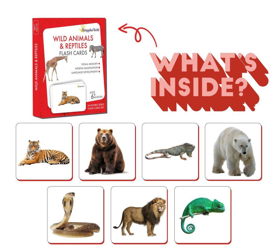 Wild Animals And Reptiles Flash Cards - Totdot